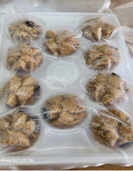 紅棗鬆糕 20克X10個X20包/箱