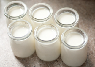 [1710254] 3.6 Milk Pudding 40gX36 cup/case